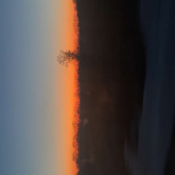 Meet your Posher, Emma - Picture 1 of 1